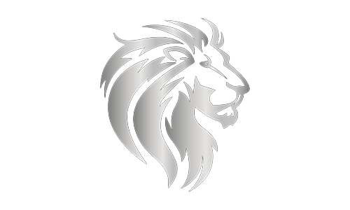 Lion Real Estate Group